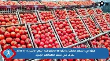 قفزة في أسعار الخضار والفواكه بالمنوفية اليوم الاثنين 11-8-2025.. تعرف على سعر الطماطم الجديد